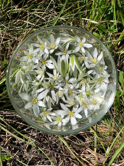 Dame de 11 heures: amener la résilience