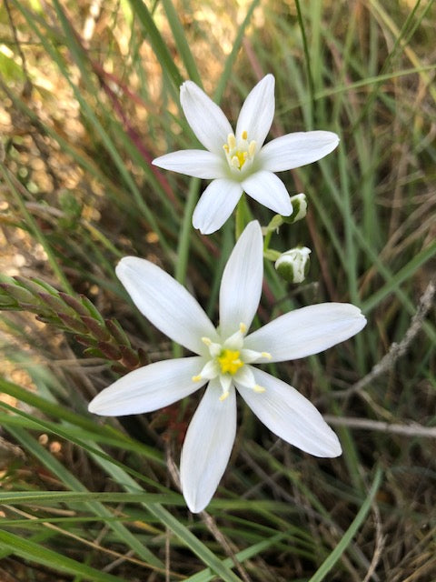 Dame de 11 heures: amener la résilience