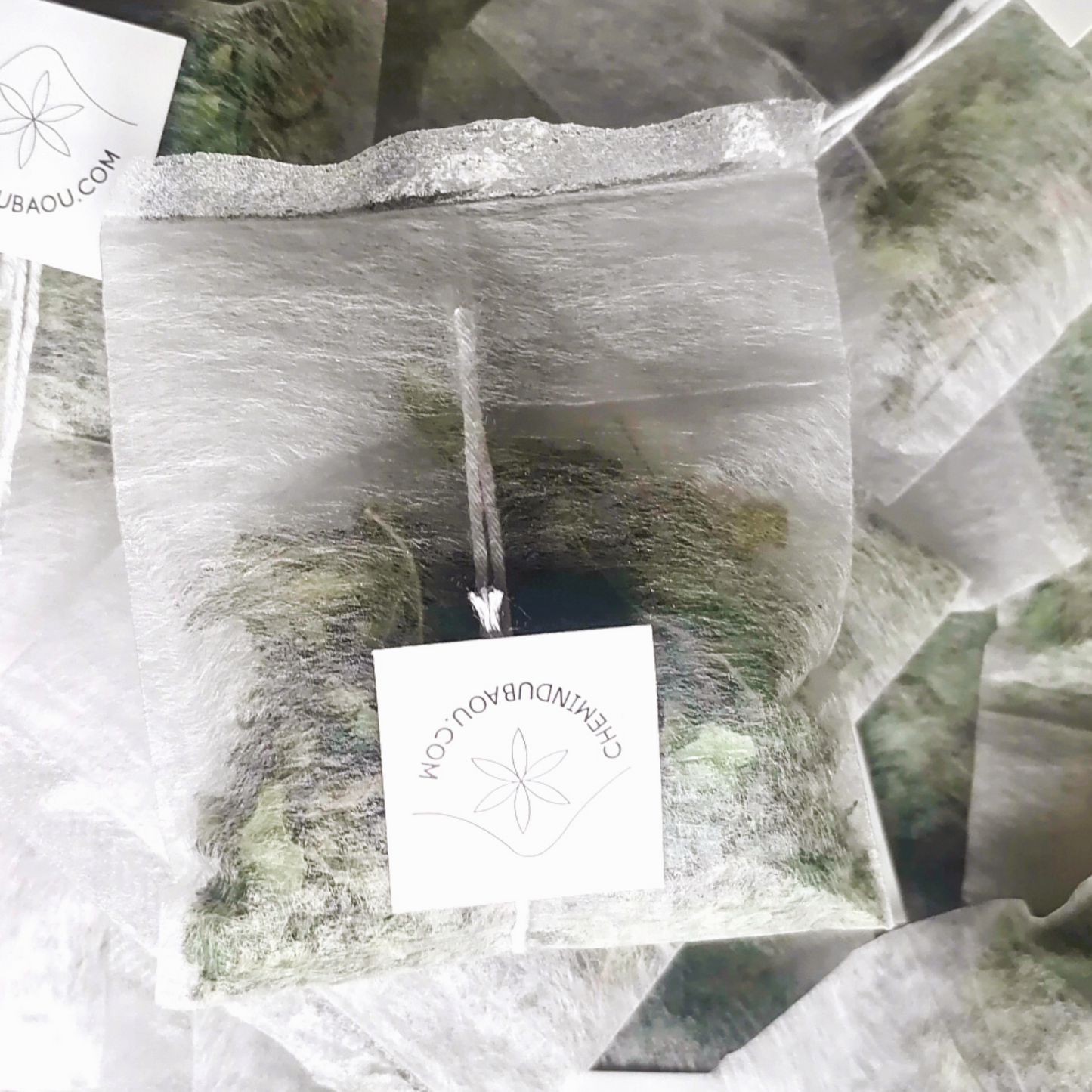 Infusettes de tisane bio à la menthe poivrée et au moringa