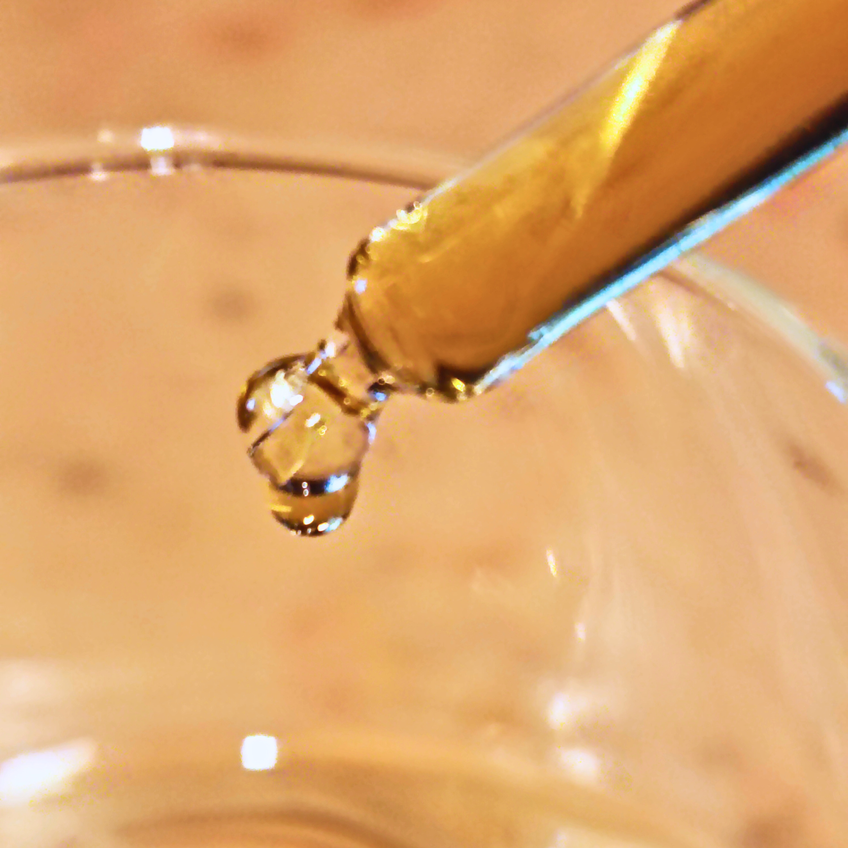 goutte 